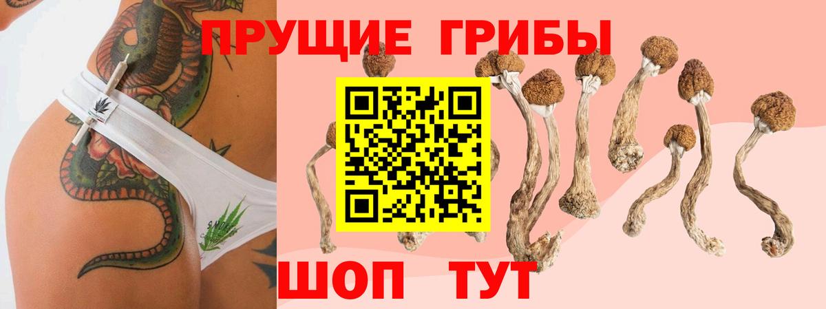 Галлюциногенные грибы прущие грибы  где найти   Владикавказ  Вход с VPN 