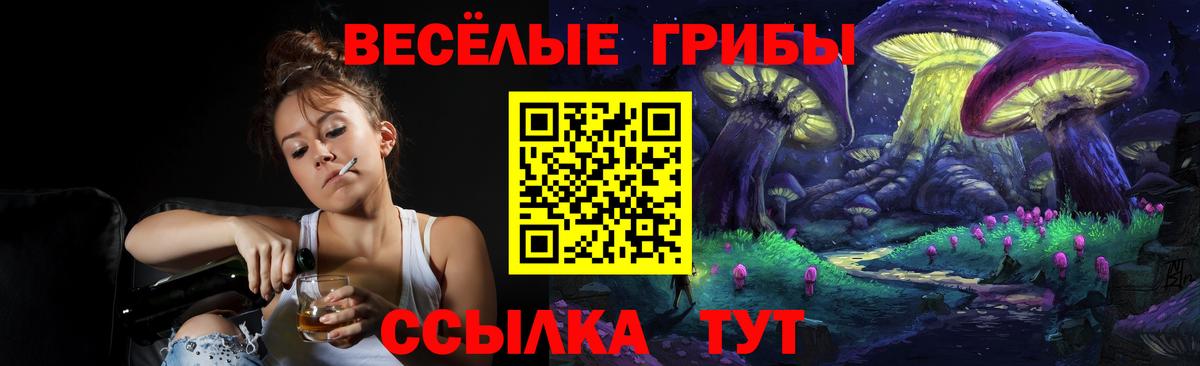 Меф кристаллы  Alpha PVP СК   Вход с VPN  ГАШИШ  Владикавказ  Каннабис 